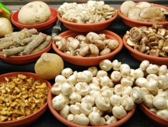 6 Cancer-Fighting Medicinal Mushrooms